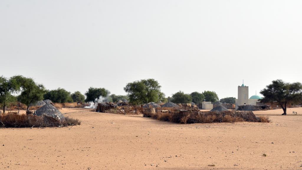 NIGER : qui contrôle la localité de Bosso, depuis l'attaque de Boko Haram?